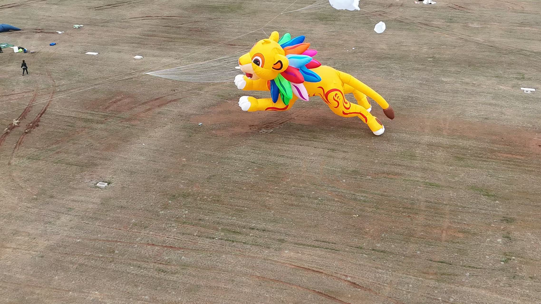 金昌市品牌风筝定制风筝批发 - 一站式服务